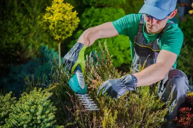 landscaping services Montauk